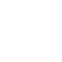 WordPress Logo